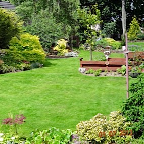 Brooklynn Back Garden